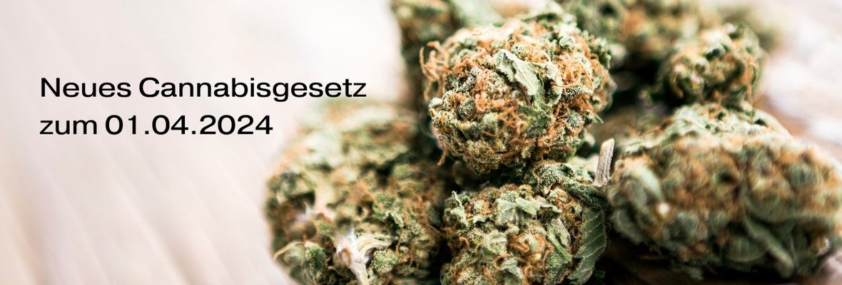 Neues Cannabisgesetz 01.04.2024 – Was ändert Sich?